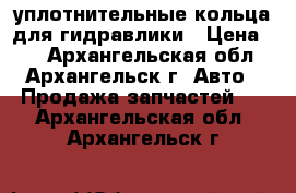 уплотнительные кольца для гидравлики › Цена ­ 3 - Архангельская обл., Архангельск г. Авто » Продажа запчастей   . Архангельская обл.,Архангельск г.